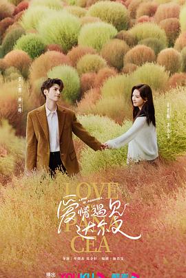 威海seo网站优化厂家